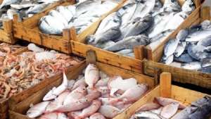 إحالة مدير الجمعية الاستهلاكية بمنطقة العبور بالسويس لبيع السمك بأزيد من التسعيرة المعلنة