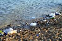 صورة اليوم : تلوث شواطيء السويس بالمواد الضارة يهدد الحياة البحرية ..نناشد بحملة لتطهيرها