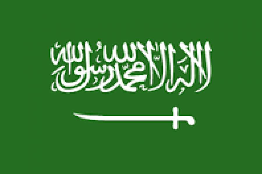 السعودية: الحرس الملكي يلقى القبض على 11 أميرا تجمهروا في قصر الحكم