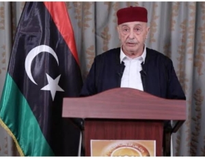 المجلس القومى للمرأه الليبية  يصدر بيانا عقب ختام جلسة النواب الاخيرة