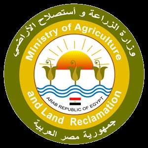 «الزراعة»: زيادة الصادرات الزراعية المصرية لـ8 مليارات دولار خلال 5سنوات