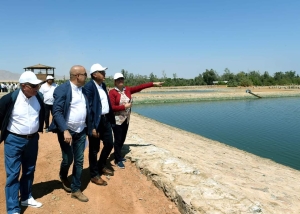 مدبولي يتفقد مشروع رفع كفاءة بحيرات الأكسدة ومسارات الطيور المهاجرة بشرم الشيخ
