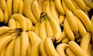 كل ما يجب أن تعرفه عن فوائد الموز