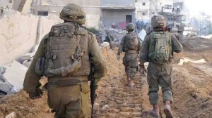 كلاب ضالة تهاجم جنودا إسرائيليين