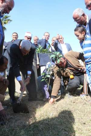 محافظ السويس يشارك بغرس شجرة في الحملة الشعبية لزراعة 50 الف شجرة بشوارع وحدائق محافظة السويس